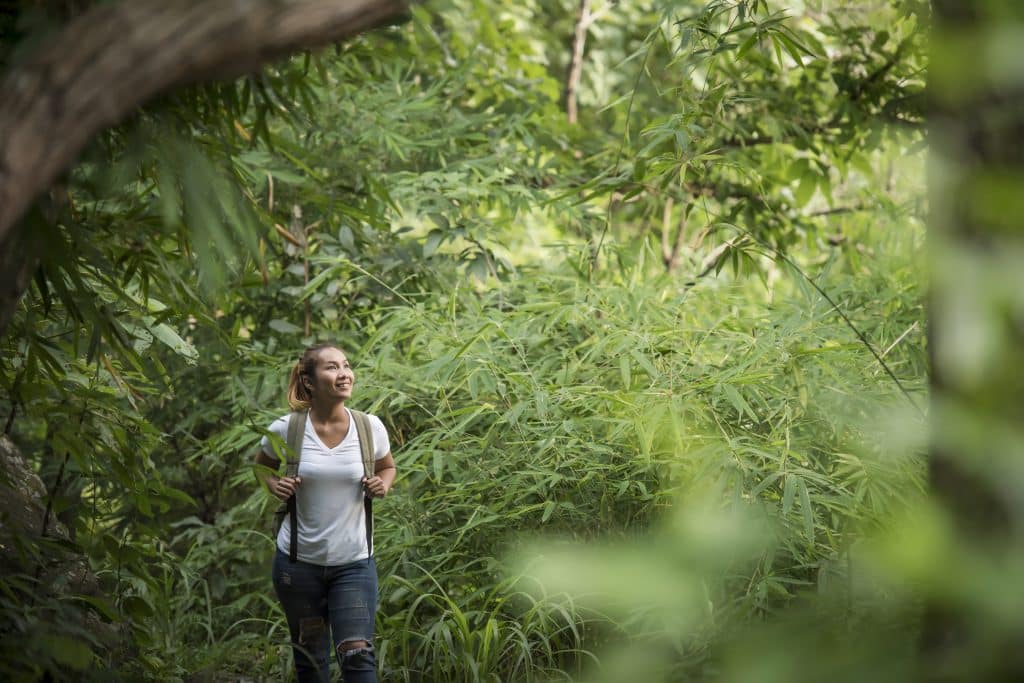 Nature Walks: Mental Health Benefits Unveiled by Latest Research
